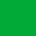 Пластик зеленый (6032)